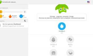 Duolingo Что Это Такое и Как Им Пользоваться