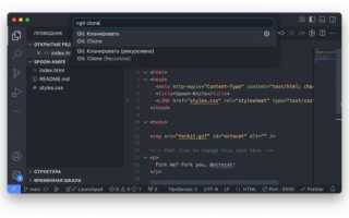 Что Значит Клонировать Репозиторий Для Начинающих