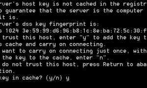 Plink Exe Что Это и Как Использовать