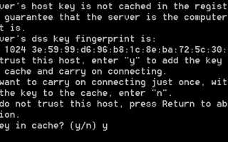 Plink Exe Что Это и Как Использовать