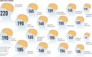 Ай Кью: Что Это Значит на Самом Деле