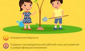 Во Что Можно Вложить Для Успешного Будущего