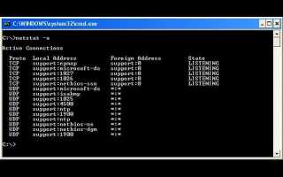 Как Проверить Открыт Ли Порт На Сервере Правильно И Быстро