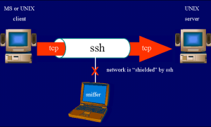 Как Сделать Ssh Сервер На Linux Правильно и Быстро