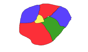 Теорема О Четырех Красках: Что Это И Как Она Работает