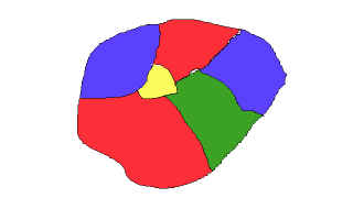 Теорема О Четырех Красках: Что Это И Как Она Работает