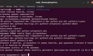 Что Такое Pip В Питоне И Как Им Пользоваться
