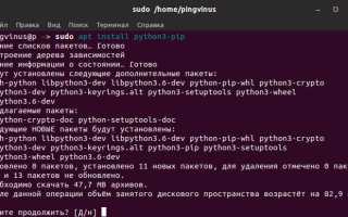Что Такое Pip В Питоне И Как Им Пользоваться