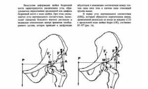Ок Сокращение От Чего Научные Обоснования