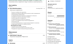 Что Написать В Резюме В Навыках Для Успешного Трудоустройства