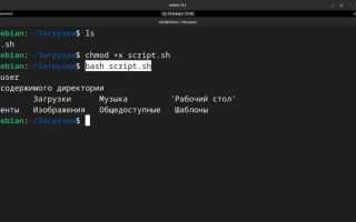 Как Запустить Файл Sh Правильно и Быстро