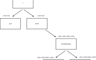 Зачем Нужны Uid И Gid в Современных Системах