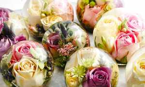 Как Стабилизировать Цветы В Глицерине Для Долговечного Декора