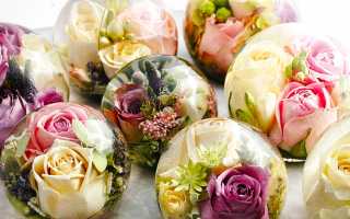 Как Стабилизировать Цветы В Глицерине Для Долговечного Декора