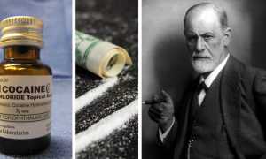 Что Делают Из Кокса: Интересные Факты и Применение