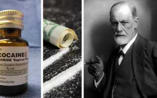 Что Делают Из Кокса: Интересные Факты и Применение