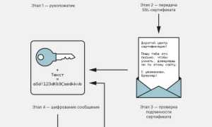 Ssl Соединение Что Это и Как Оно Работает