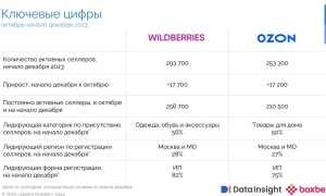 Сколько Селлеров На Вайлдберриз 2024 В России