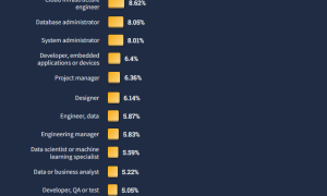 На Какое Направление Поступать На Программиста В 2023 Году