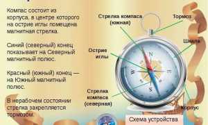 Что Такое Компас В Географии И Как Он Используется