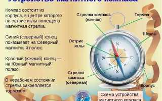 Что Такое Компас В Географии И Как Он Используется
