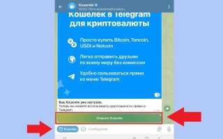 Как Открыть Крипто Кошелек В Телеграмме Для Начинающих