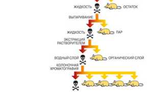 Как Найти Иголку В Стоге Сена: Полезные Советы