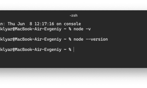 Как Узнать Версию Npm Правильным Способом