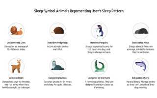 Архетипы Сна Samsung: Какие Бывают и Как Выбрать