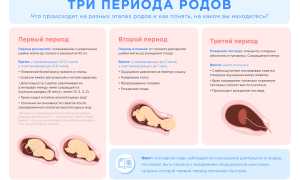 Что Такое Рандомный Период и Его Значение