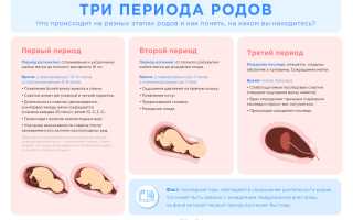 Что Такое Рандомный Период и Его Значение