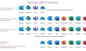 Майкрософт 365 Ру Ру Что За Программа и Как Она Работает
