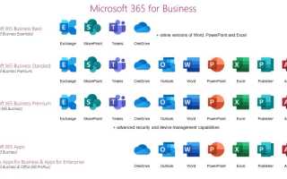 Майкрософт 365 Ру Ру Что За Программа и Как Она Работает