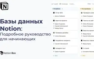 Как Сделать Сайт С Базой Данных: Полное Руководство