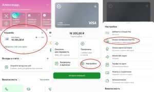 Сбербанк Пей: Что Это Такое и Как Работает