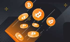 Бинанс Это Что Такое и Как Им Пользоваться