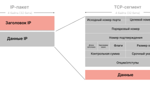 Что Такое Протокол Сети В Информатике: Основные Понятия