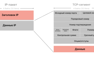 Что Такое Протокол Сети В Информатике: Основные Понятия