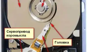 Почему Жесткий Диск Издает Звуки и Что Это Значит
