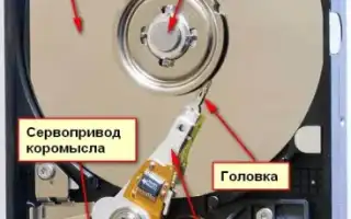 Почему Жесткий Диск Издает Звуки и Что Это Значит