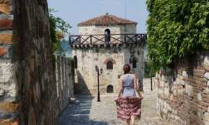 Как Живут В Сербии Русские Отзывы и Впечатления