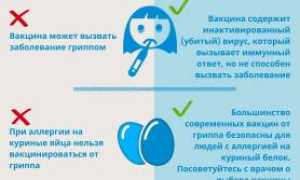 Что Такое Инфекционное Заболевание и Как Оно Проявляется