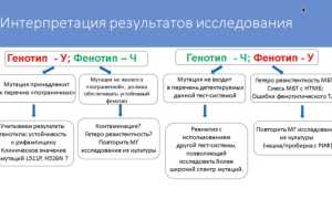 Что Идет После Тб — Анализ и Прогнозы