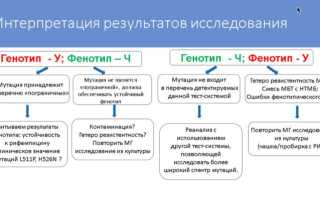 Что Идет После Тб — Анализ и Прогнозы