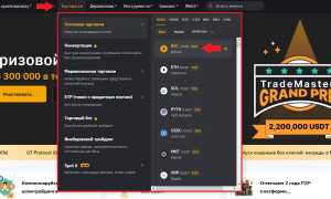 Как Разместить Мем Коин На Бирже Bybit Для Успешной Торговли