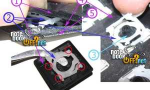 Отлетела Кнопка На Ноутбуке Как Починить Правильно И Быстро