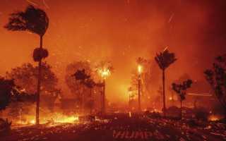 Что Послужило Причиной Пожара В Лос Анджелесе В 2023 Году