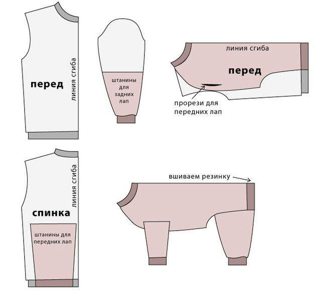 Одежда для корги: выбор дождевика, комбинезона, костюма и как пошить своими руками