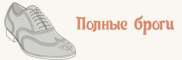 полные броги
